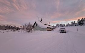 Green Cottage